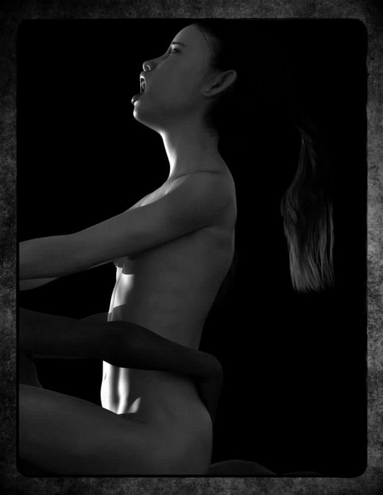 [black and white] Premium Hentai Gallery ピュアキュートネス白黒シリーズ3Dロリコンパックvol.1